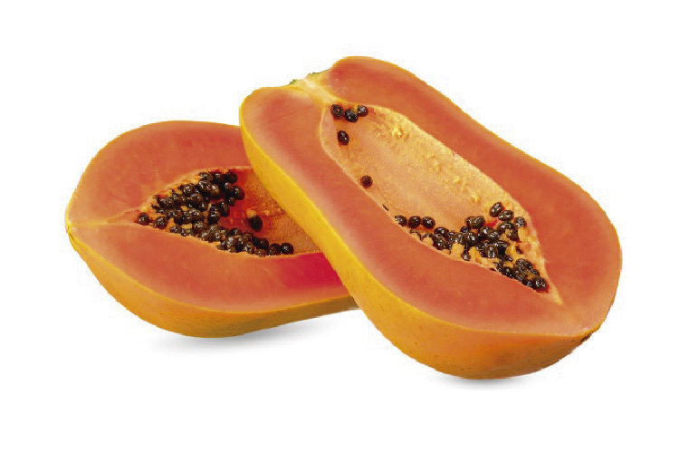 Papaya Maradol